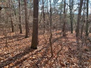 MLS #7685106 image #0