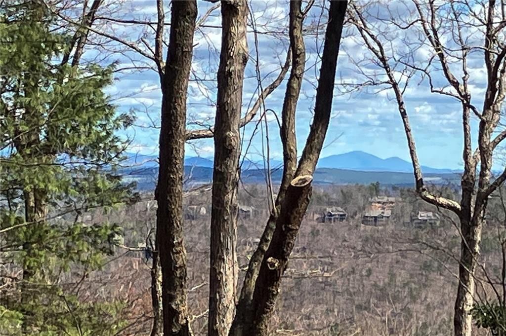 MLS #7685442 image #0