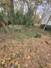 MLS #7685460 image #0