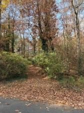 MLS #7685469 image #0