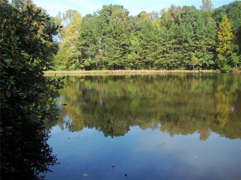 MLS #7685963 image #0