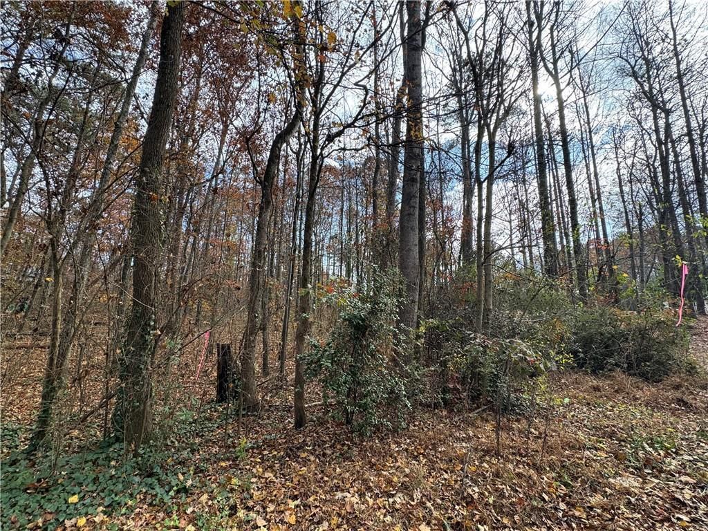 MLS #7686326 image #0