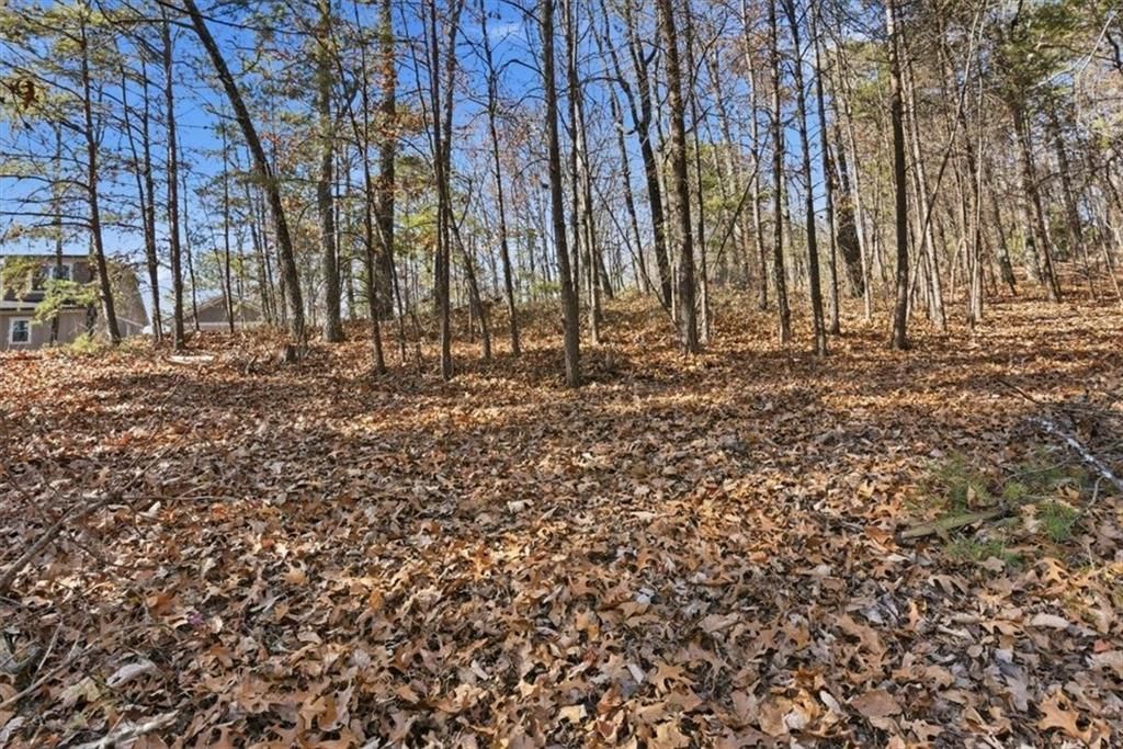 MLS #7686347 image #0