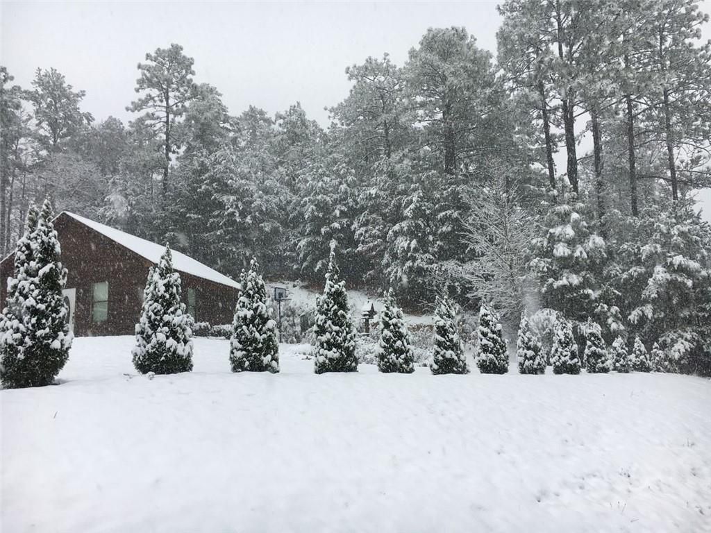 MLS #7686880 image #0