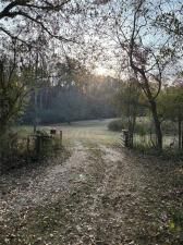 MLS #7687233 image #0