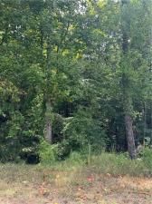 MLS #7687402 image #0