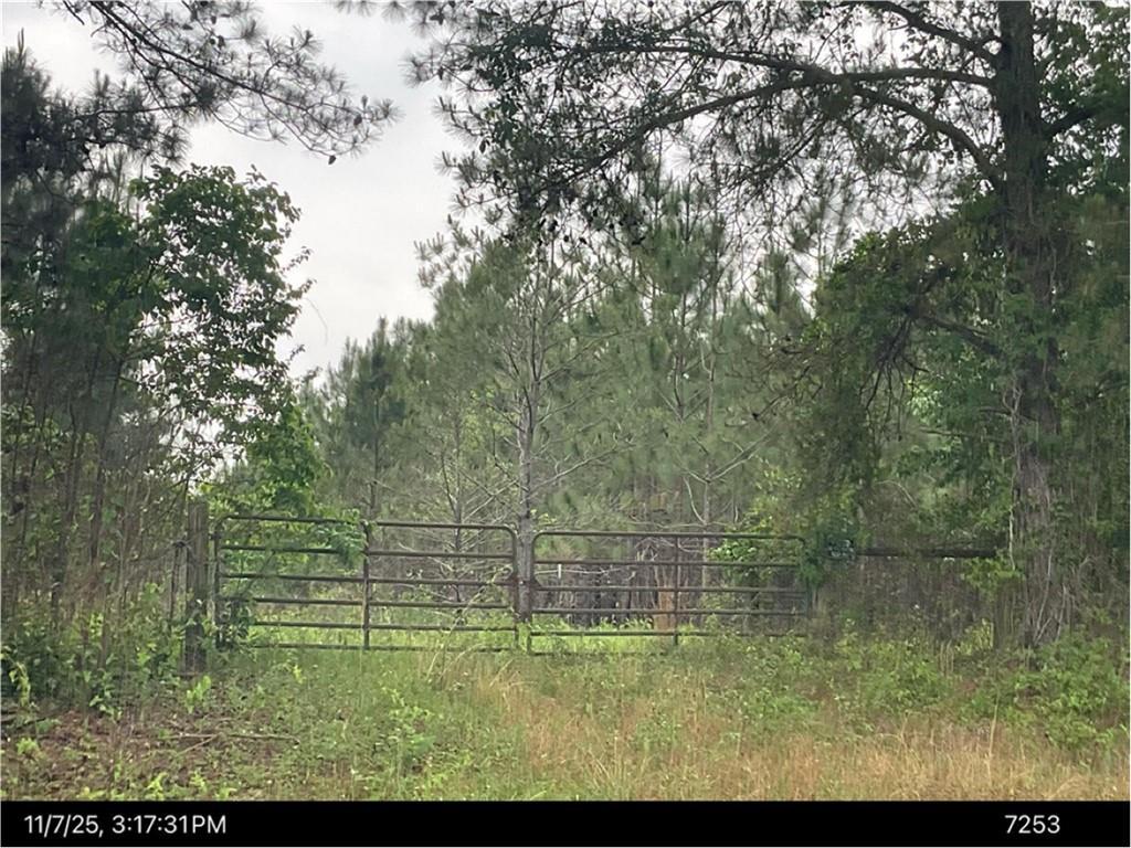 MLS #7688731 image #0