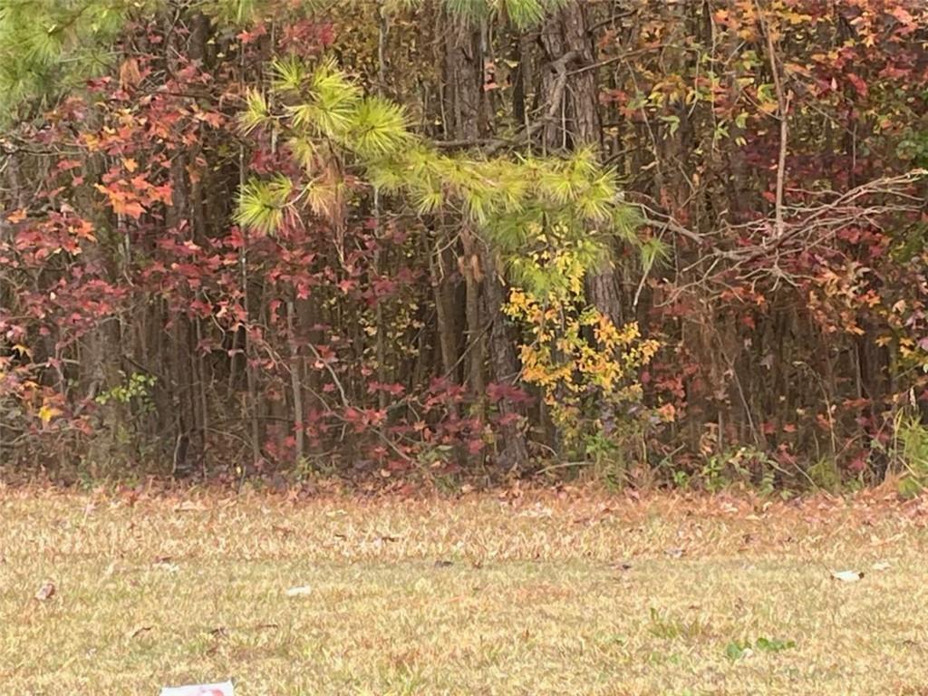 MLS #7689114 image #0