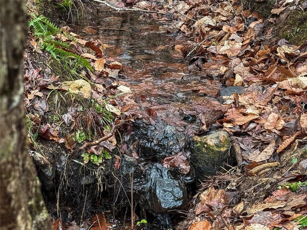 MLS #7689697 image #0