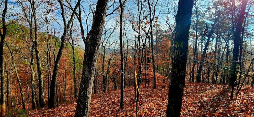 MLS #7689750 image #0