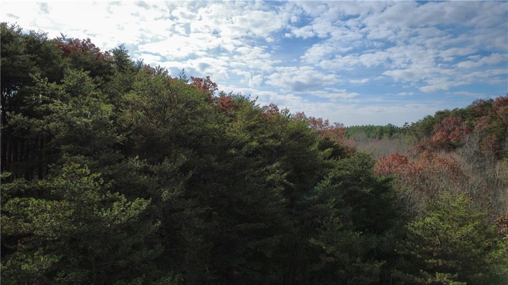 MLS #7690084 image #0