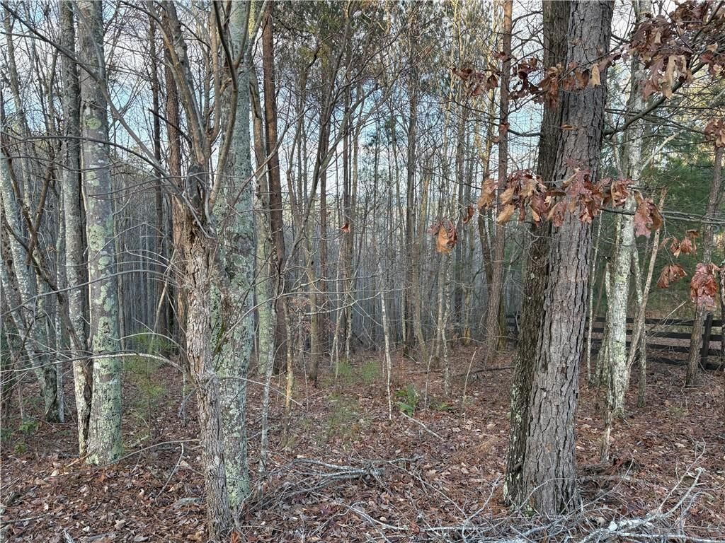 MLS #7691672 image #0