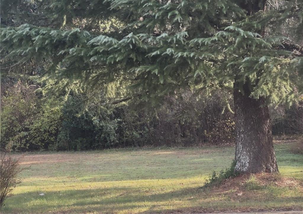 MLS #7692202 image #0