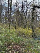 MLS #7692712 image #0