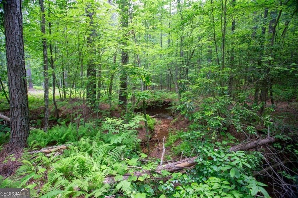 MLS #7692772 image #0