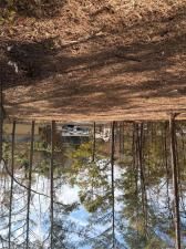 MLS #7693083 image #0