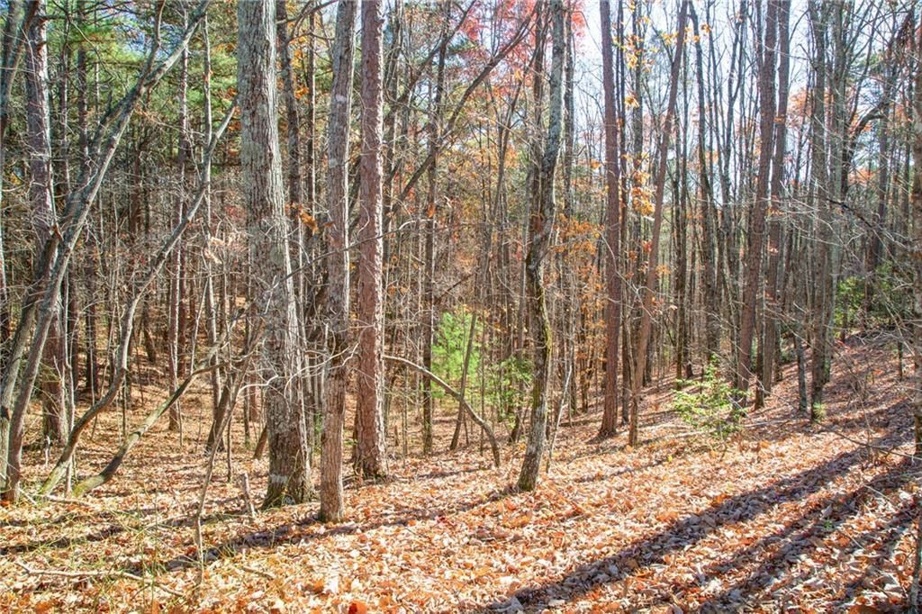 MLS #7693091 image #0