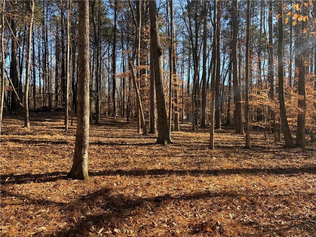 MLS #7693183 image #0