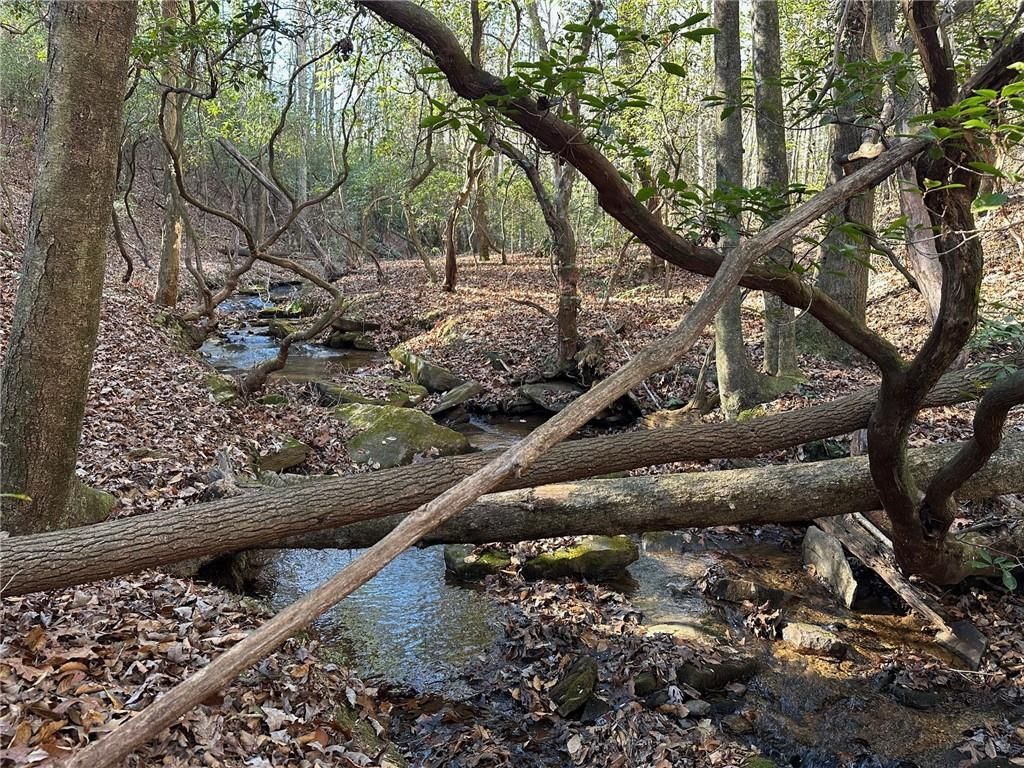 MLS #7693342 image #0