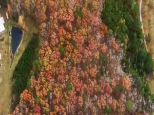 MLS #7693716 image #0