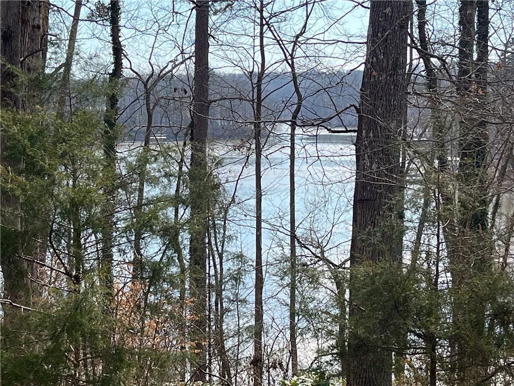 MLS #7694487 image #0