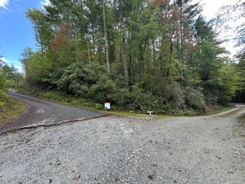 MLS #7694562 image #0