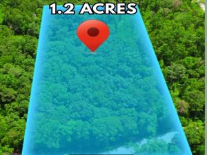 MLS #7694564 image #0