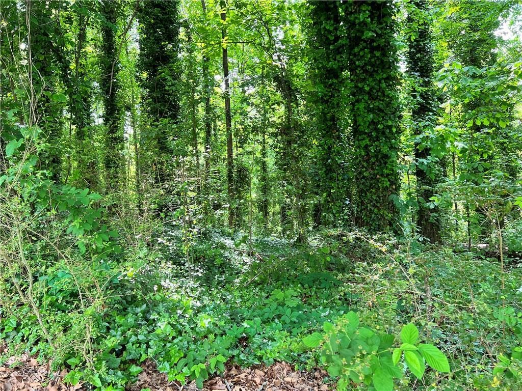 MLS #7695227 image #0