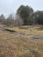 MLS #7696935 image #0