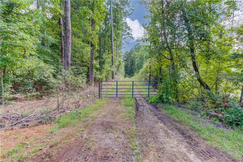 MLS #7697013 image #0