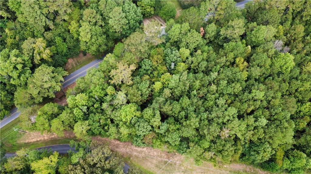 MLS #7697435 image #0