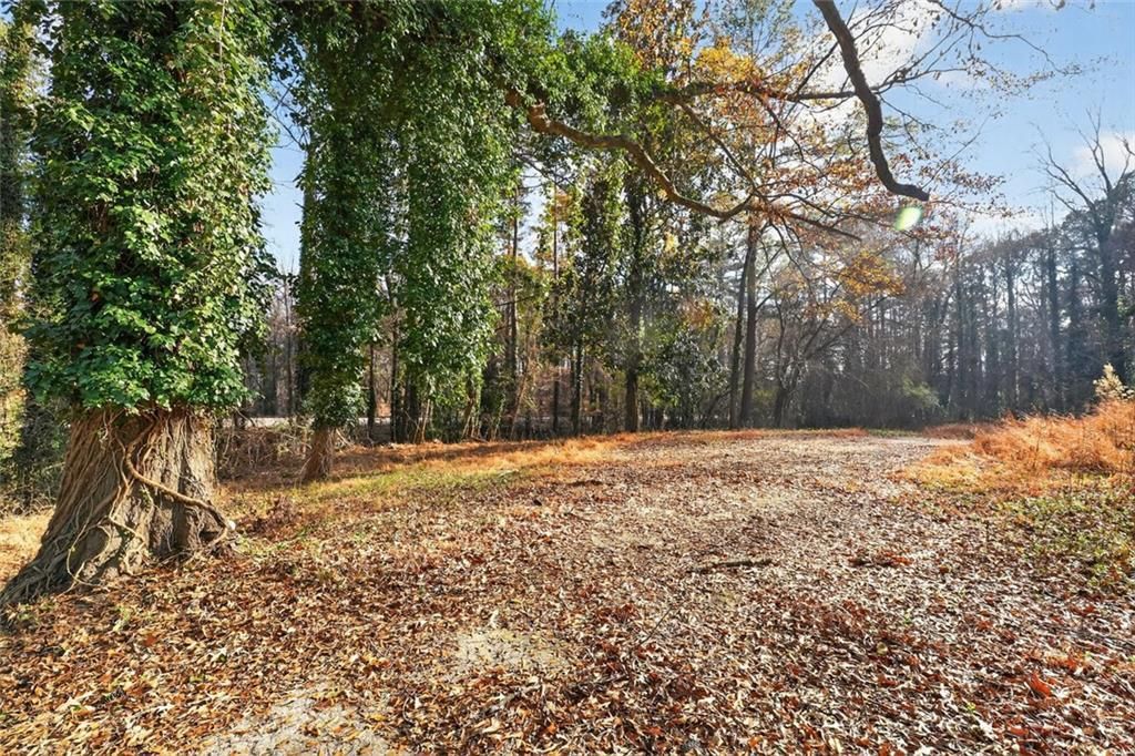 MLS #7697869 image #0