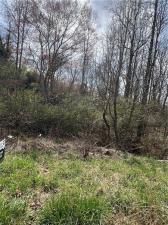 MLS #7697954 image #0