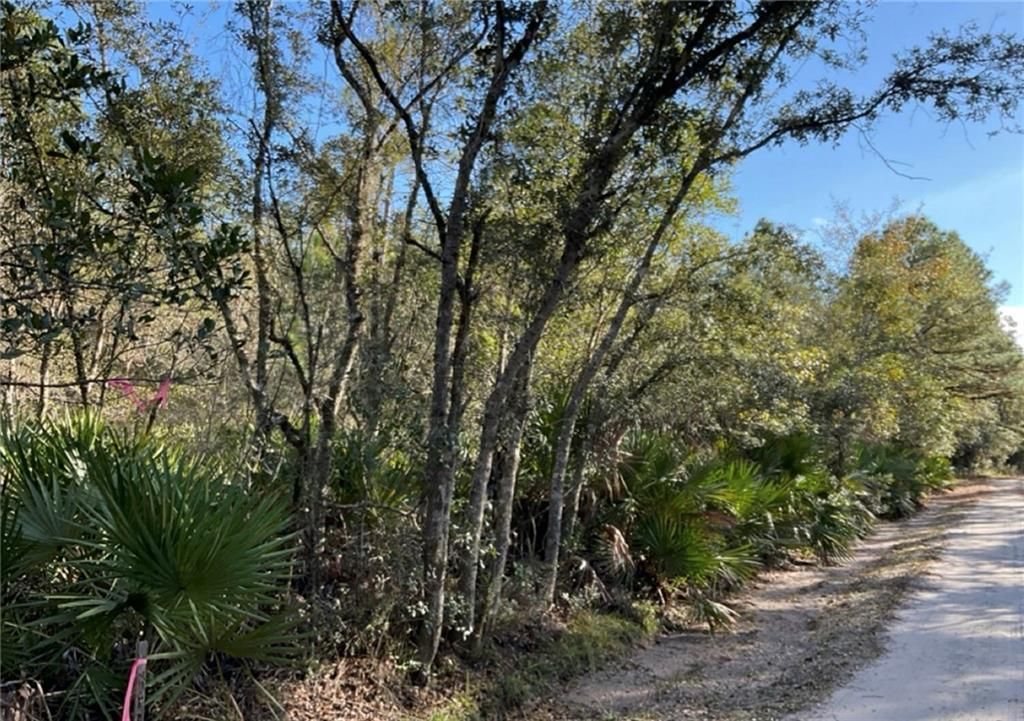 MLS #7700588 image #0