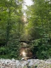 MLS #7701080 image #0