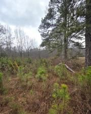 MLS #7702600 image #0