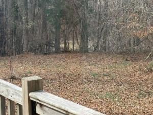 MLS #7703094 image #0