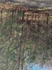 MLS #7703455 image #0