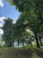 MLS #7703610 image #0