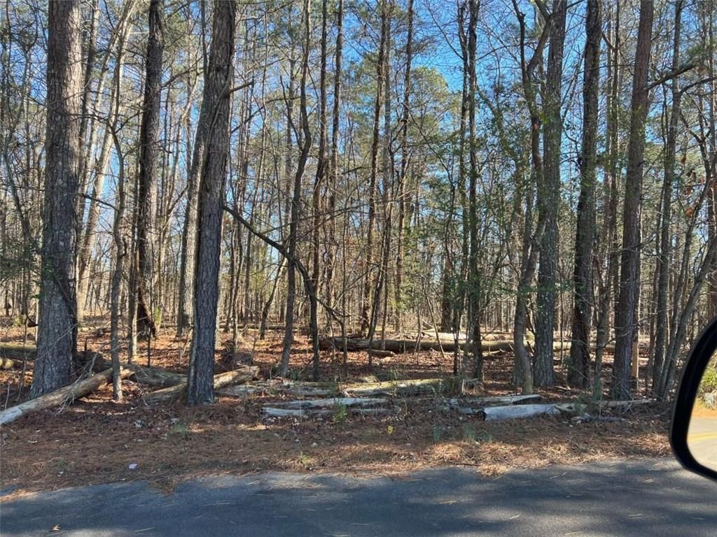 MLS #7703929 image #0