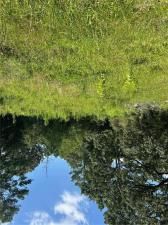 MLS #7704067 image #0