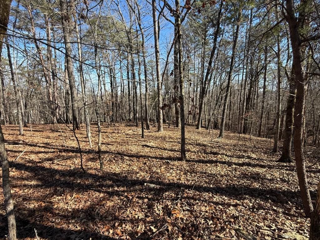 MLS #7704496 image #0