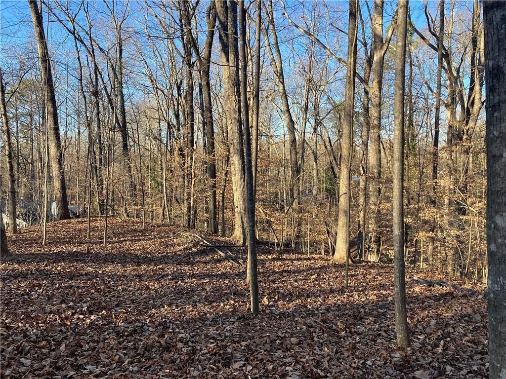 MLS #7706060 image #0