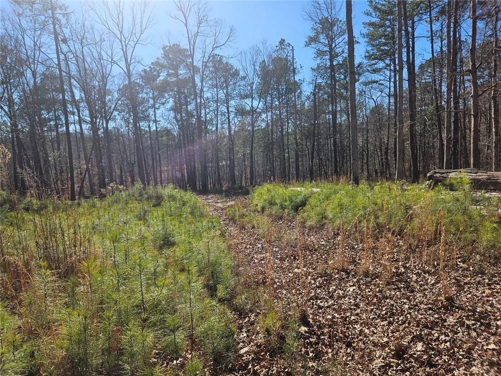 MLS #7706489 image #0