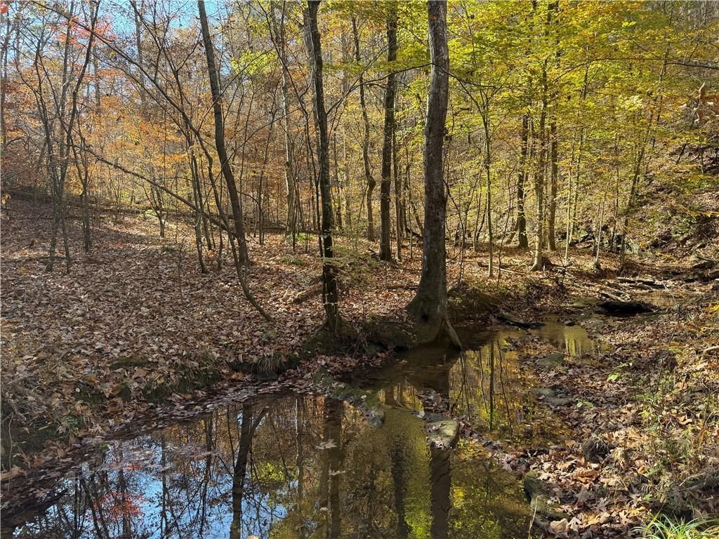 MLS #7706763 image #0