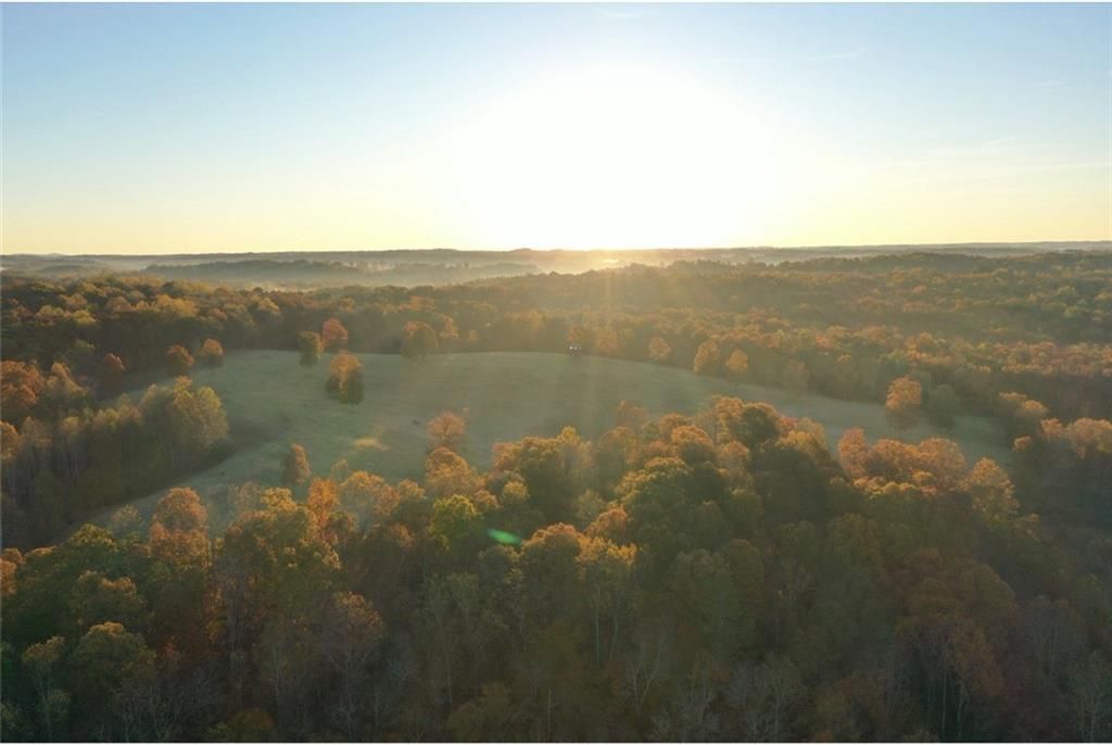 MLS #7741294 image #3