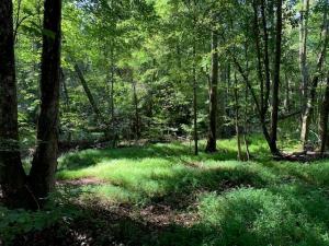 MLS #7823360 image #0