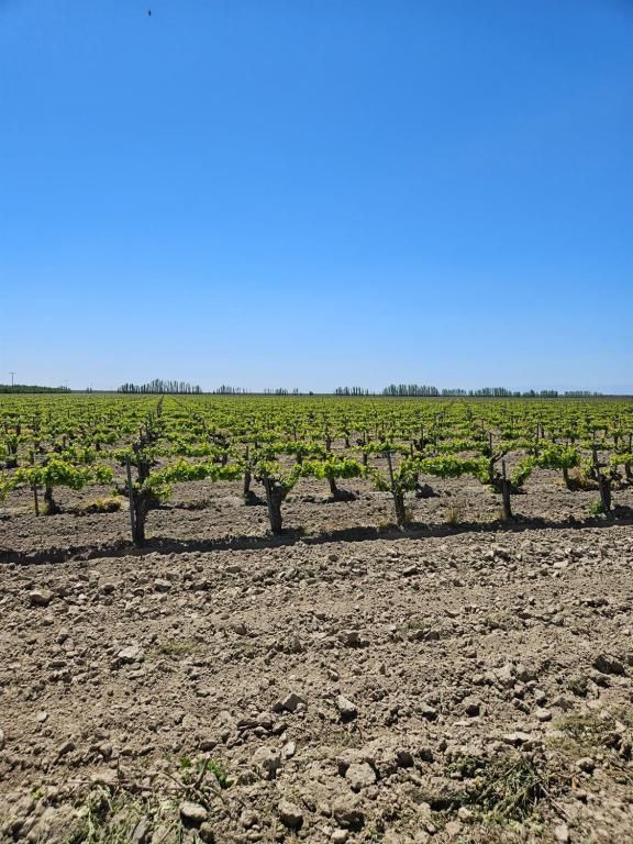 MLS #593420 image #0