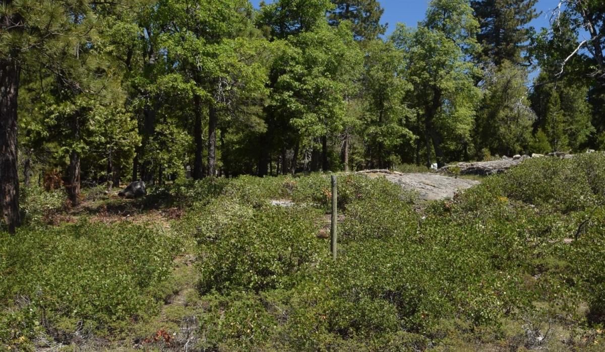 MLS #606560 image #0