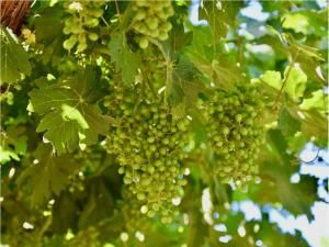 MLS #610149 image #0